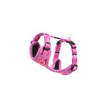 Rogz Beltz Fashion Tuig XS Wild Hearts 1 st. Extra Small