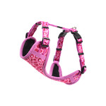 Rogz Beltz Fashion Tuig M Wild Hearts 1 st. Medium