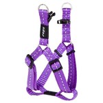 Rogz Beltz Utility InstapTuig S Paars 1 st. Small