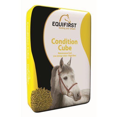 EquiFirst EquiFirst Condition Cube 20 kg.