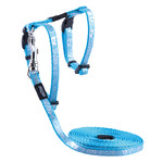 Rogz Beltz Catz Sparklecat Tuig+Lijn XS Turquoise 1 st. Extra Small