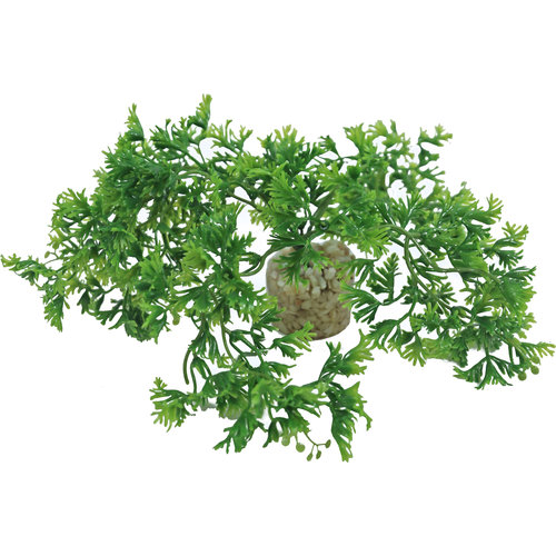 Sydeco Sydeco kunststofplant Tropical Moss, 7 cm.