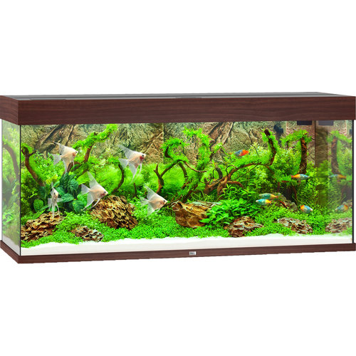 Juwel Juwel aquarium Rio 240 LED met filter, donkerbruin.