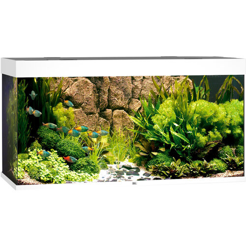 Juwel Juwel aquarium Rio 350 LED met filter, wit.