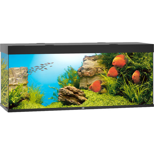 Juwel Juwel aquarium Rio 450 LED met filter, zwart.
