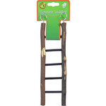 Boon Boon vogelspeelgoed ladder hout Natural 5 traps, 22 cm.