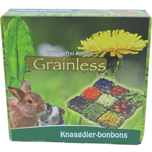 JR Farm JR Farm knaagdier Grainless bonbons, 125 gram a 9 stuks. 20398