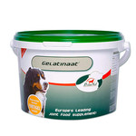 Primeval Primeval Hond Gelatinaat 2 kg.