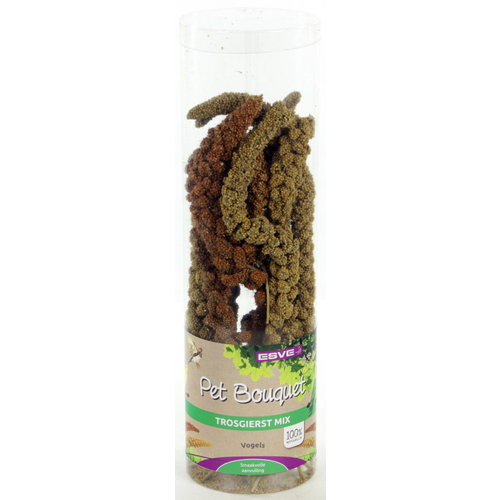 Esve Pet Bouquet Koker Trosgierst 1 st.