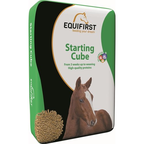 EquiFirst EquiFirst Starting Cube 20 kg.