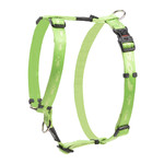 Rogz Beltz Alpinist Tuig L Lime 1 st. Large