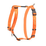 Rogz Beltz Alpinist Tuig XL Oranje 1 st. Extra Large