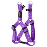 Rogz Beltz Utility InstapTuig S Paars 1 st. Small