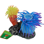 Boon aqua deco Boon Aqua Deco ornament 2x siliconen zeeannemoon met rots, 10 cm.