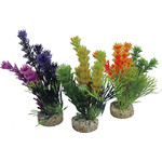 Sydeco Sydeco kunststofplant Fiesta Colour, 16 cm.