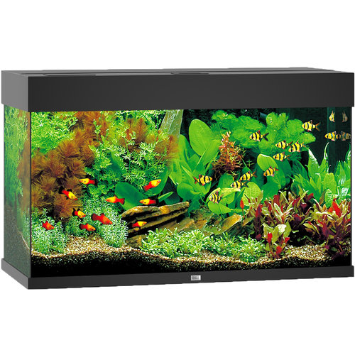 Juwel Juwel aquarium Rio 125 LED met filter, zwart.