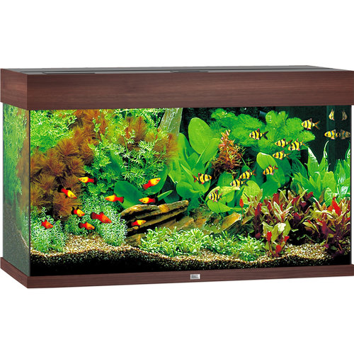 Juwel Juwel aquarium Rio 125 LED met filter, donkerbruin.