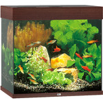 Juwel Juwel aquarium Lido 120 LED met filter, donkerbruin.