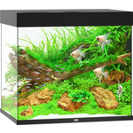 Juwel Juwel aquarium Lido 200 LED met filter, zwart.