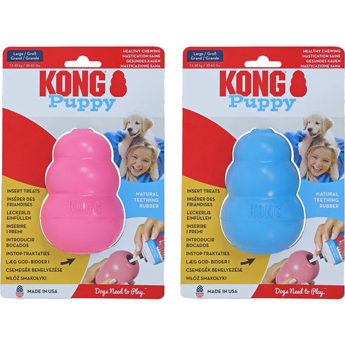 Kong Kong hond Puppy, large.