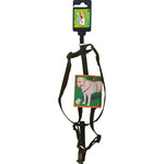 Boon Boon Dog fashion BH-tuig nylon 10 mm x H35-B45 cm, zwart.