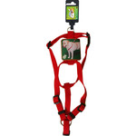 Boon Boon Dog fashion BH-tuig nylon 15 mm x H40-B55 cm, rood.