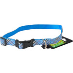 Boon Dog fashion Boon Dog fashion nylon/PVC halsband verstelbaar 20 mm x 45-60 cm, Caledonia blauw.