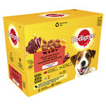 Pedigree Ped.Pouch Favourites MP 12x100 gr.