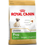 Royal Canin Pug Junior 1,5 kg.