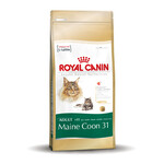 Royal Canin Main Coon 31 2 kg.