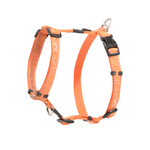 Rogz Beltz Fancy Dress Tuig S Orange Doodle-Orange 1 st. Small
