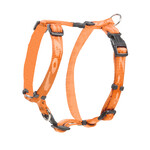 Rogz Beltz Alpinist Tuig M Oranje 1 st. Medium