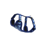Rogz Beltz Fashion Tuig S Amphibian Blue 1 st. Small