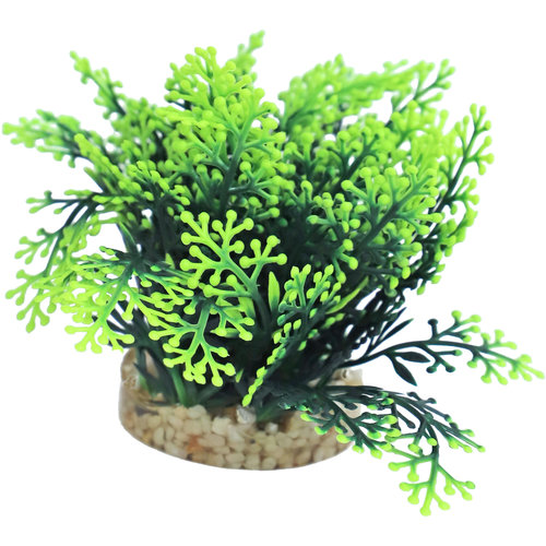 Sydeco Sydeco kunststofplant Green Moss, 7 cm.