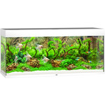 Juwel Juwel aquarium Rio 240 LED met filter, wit.