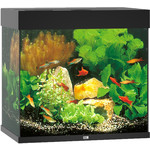 Juwel Juwel aquarium Lido 120 LED met filter, zwart.