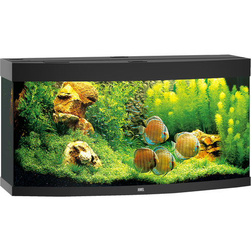 Juwel Juwel aquarium Vision 260 LED met filter, zwart.