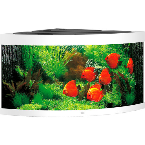Juwel Juwel aquarium Trigon 350 LED met filter, wit.