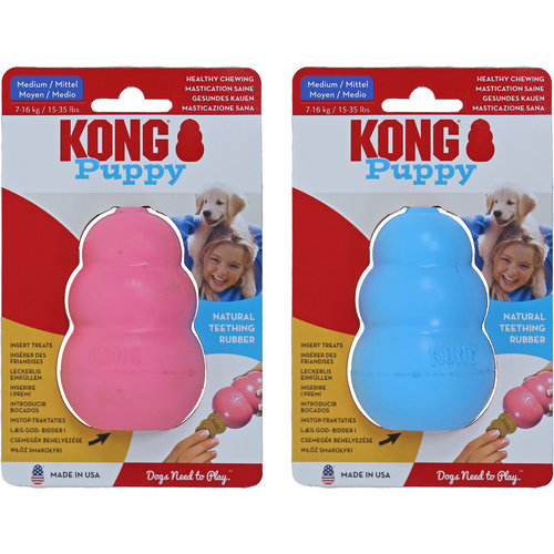 Kong Kong hond Puppy, medium.