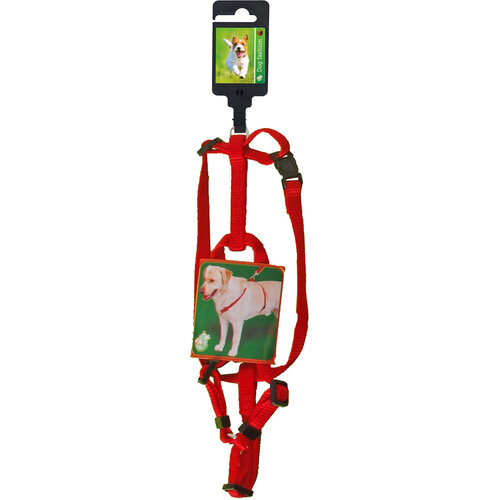 Boon Boon Dog fashion BH-tuig nylon 10 mm x H35-B45 cm, rood.