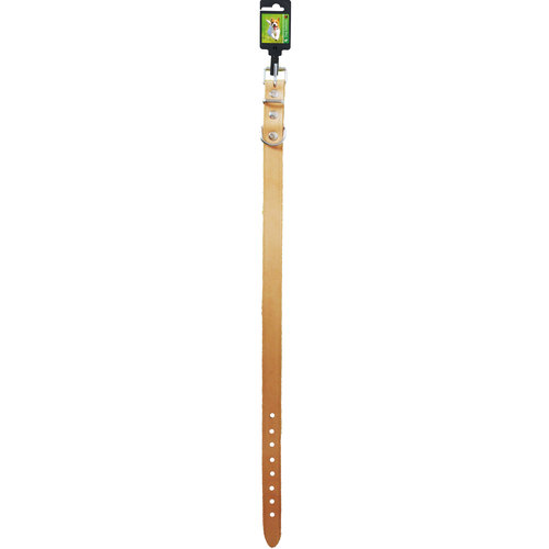 Boon Dog fashion Boon Dog fashion halsband, 25 mm/70 cm, naturel.