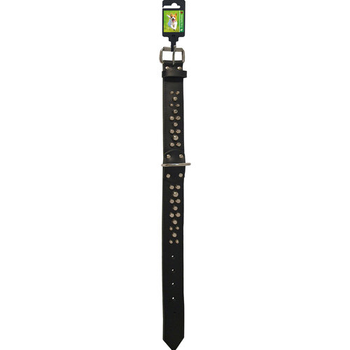 Boon Dog fashion Boon Dog fashion zware halsband met beslag, 35 mm/67 cm, zwart.