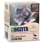 Bozita Bozita Tetra Feline Eend hapjes in gelei 370 gr.