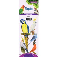 Esve Sepia verpakt Xtra Large 1 st. Extra Large