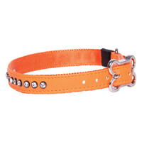 Rogz Beltz Lapz Luna Halsband M Oranje 1 st. Medium