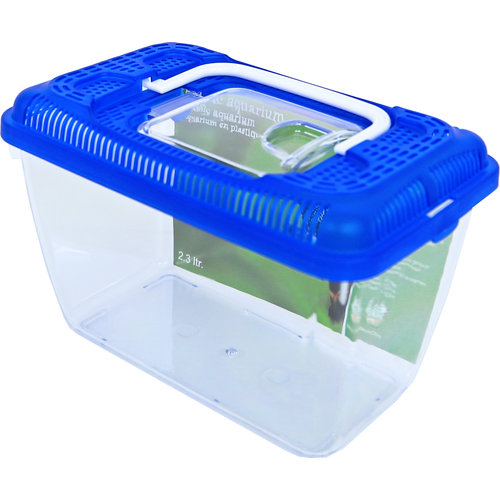 Boon Boon aquarium plastic met blauwe deksel, 2,3 liter.