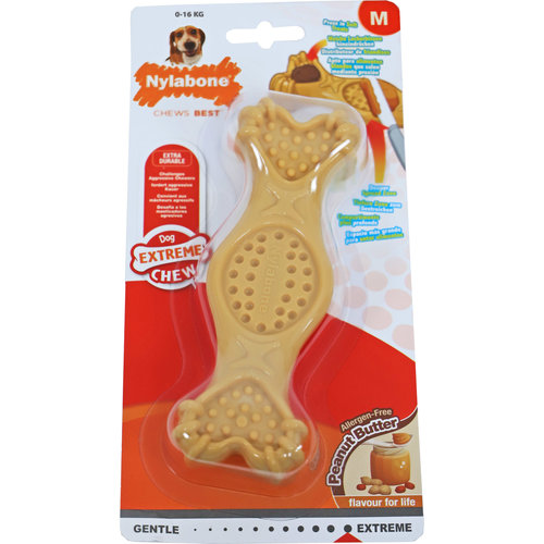 Nylabone Nylabone Extreme Chew fill it and treat M, peanutbutter.