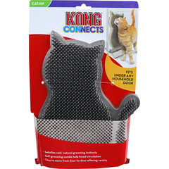 Kong Kong kat Connects, kitty comber.