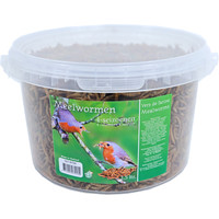 Boon 4-seizoenen Boon 4-seizoenen meelwormen, emmer a 2.5 liter.