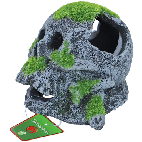 Boon aqua deco Boon Aqua Deco ornament schedel met mos, 12x13 cm.